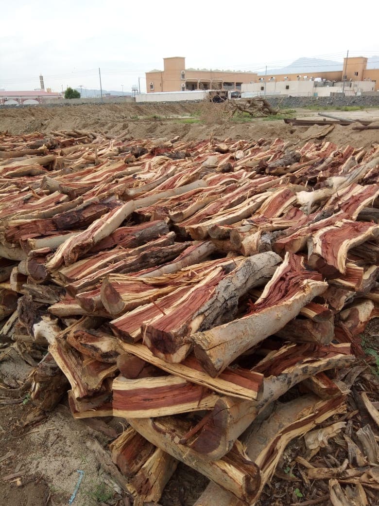 90cm Camelthorn firewood logs