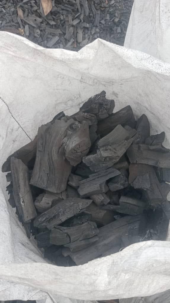 Acacia umbrella thorn hardwood charcoal