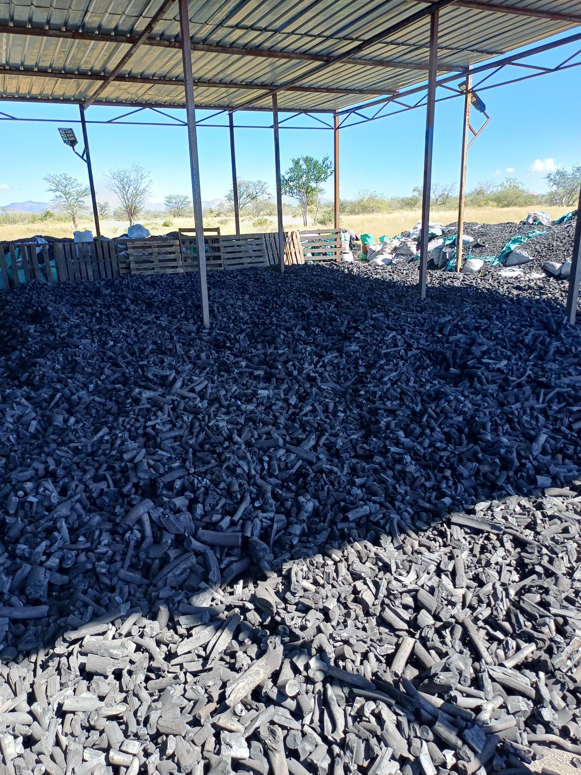 Cooling and weathering process — harvested wood conditioning