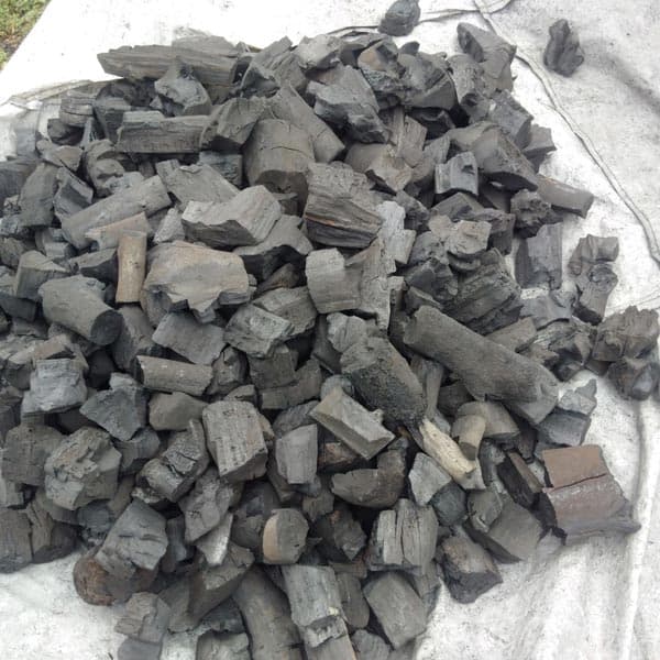 Namibian lump charcoal — red thorn grade